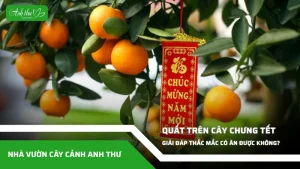anh dai dien ccat 88