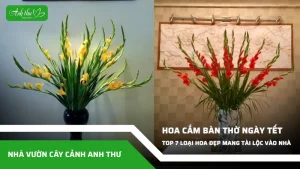 anh dai dien ccat 89