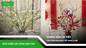 anh dai dien ccat 90