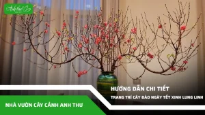 anh dai dien ccat 91
