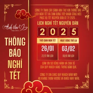 Lịch nghỉ tết cây cảnh anh thư 2025