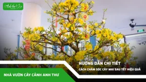 anh dai dien ccat 81