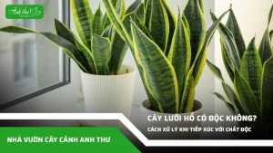 anh dai dien ccat 82