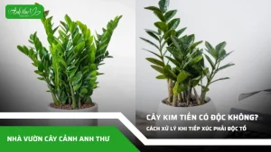 anh dai dien ccat 83