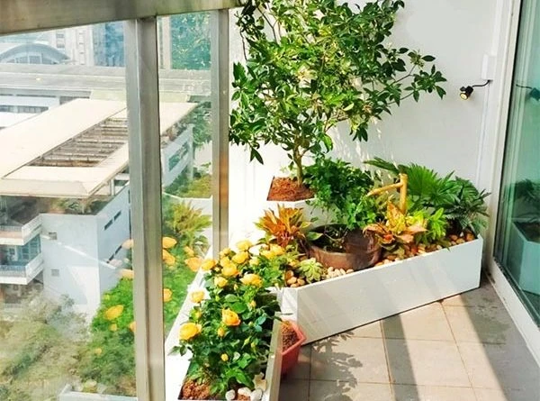 42+ Mẫu bể cá ban công làm tiểu cảnh chất liệu composite và kính đẹp 2 be_ca_ban_cong