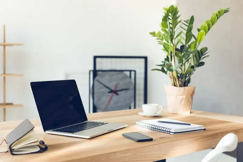 Người mệnh Thủy sinh năm nào?