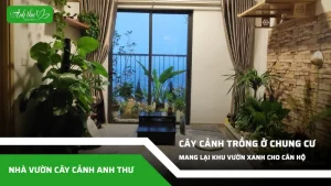 anh dai dien ccat 67