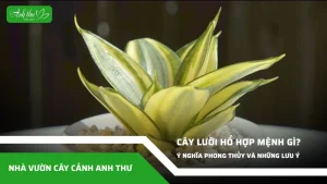 anh dai dien ccat 69