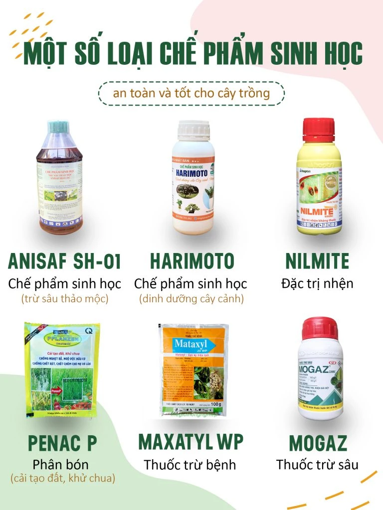 cham cay canh vao mua thu 10801 67e0e10de054f