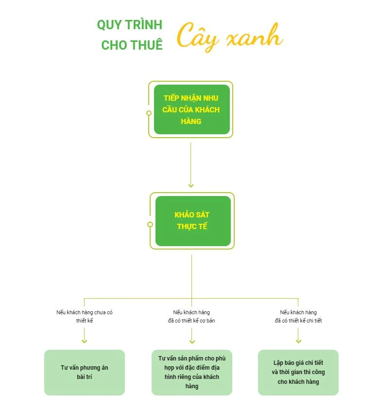 quy trình cho thuê cây xanh