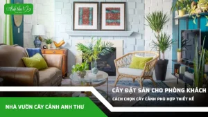 anh dai dien ccat 53