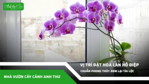 anh dai dien ccat 55