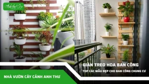 anh dai dien ccat 57