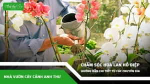 anh dai dien ccat 58