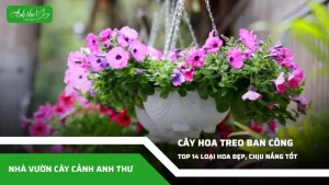 anh dai dien ccat 59