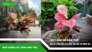 anh dai dien ccat 60