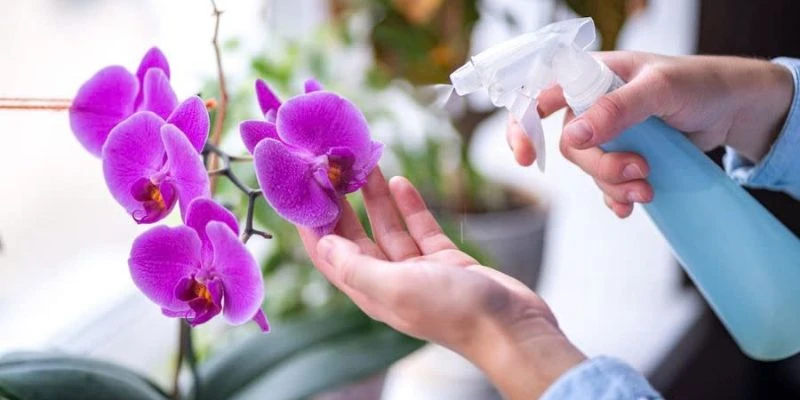 Vẻ đẹp sang trọng, phù hợp nhiều không gian