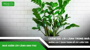 anh dai dien ccat 41