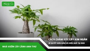 anh dai dien ccat 45