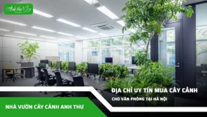 anh dai dien ccat 47