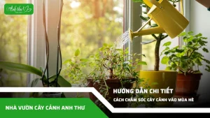 anh dai dien ccat 49