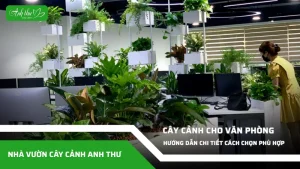 anh dai dien ccat 29