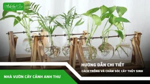 anh dai dien ccat 30
