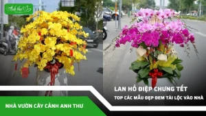 anh dai dien ccat 37