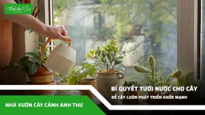 anh dai dien ccat 22