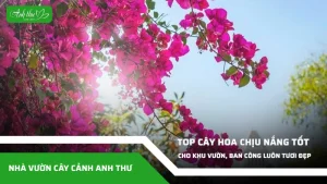 anh dai dien ccat 27