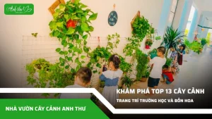 anh dai dien ccat 10