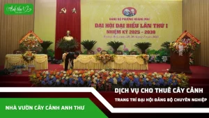 anh dai dien ccat 13