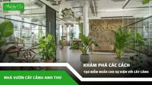 anh dai dien ccat 14