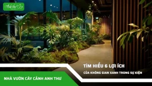 anh dai dien ccat 15
