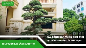 anh dai dien ccat 16