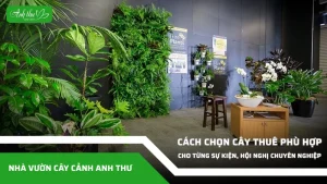 anh dai dien ccat 18