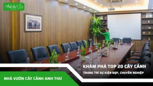 anh dai dien ccat 20