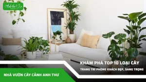 anh dai dien ccat 3