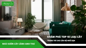 anh dai dien ccat 5