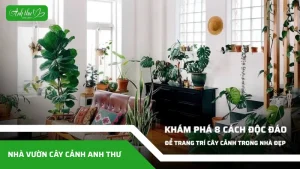 anh dai dien ccat 6