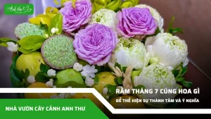 anh dai dien ccat 2