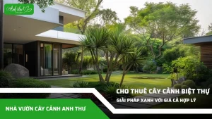dich vu cho thue cay canh tai biet thu