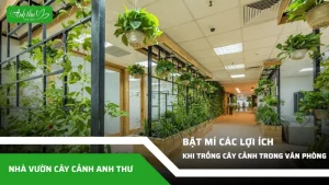 loi ich khi trong cay canh trong van phong