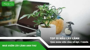 Kham pha top 10 mau cay canh tang 20 10 cho nhan vien cong so day y nghia 1