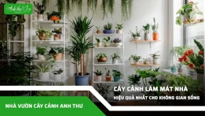 cay canh lam mat nha hieu qua nhat cho khong gian song