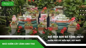 gio hoa sen da tang 20 10