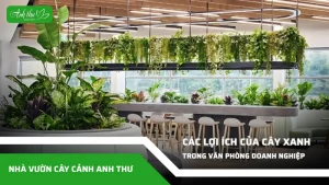 loi ich cua cay xanh trong van phong doanh nghiep