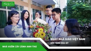 ngày nhà giáo việt nam nên tặng hoa gì
