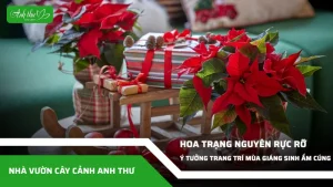 anh dai dien ccat 198
