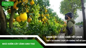 anh dai dien ccat 387